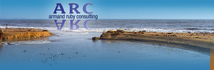 Armand Ruby Consulting